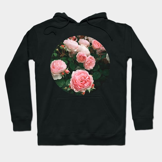 Dark Rose Hoodie by Cassia